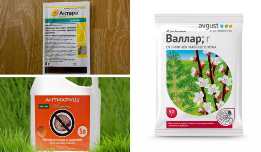 Инсектициды против хрущей
