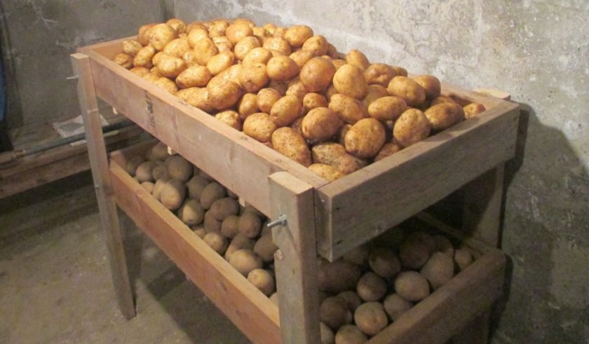 Хранение картофеля в погребе