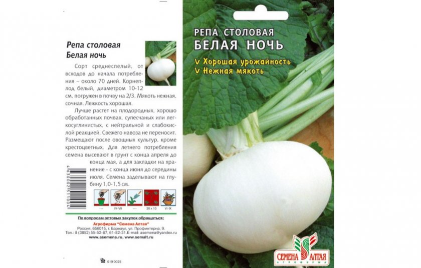 Репа белая ночь