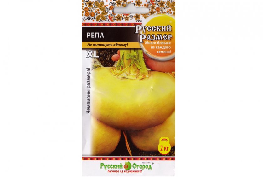 Репа русский размер