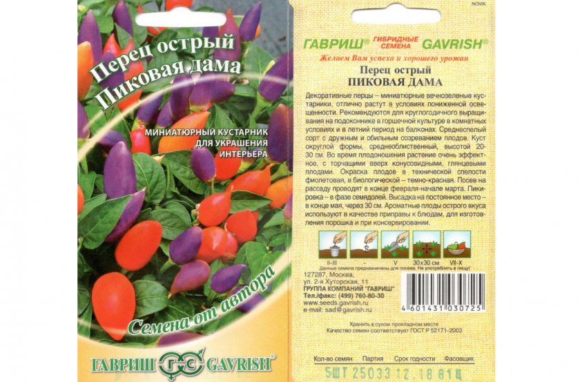 Комнатный перец пиковая дама
