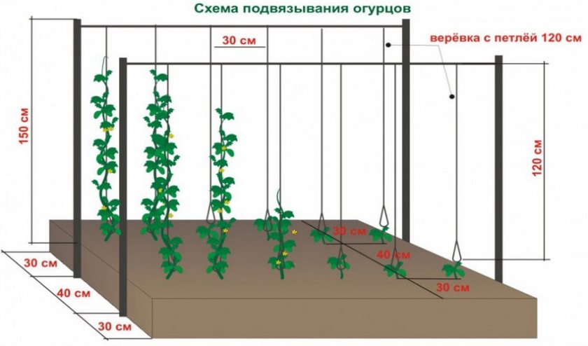 Вертикально