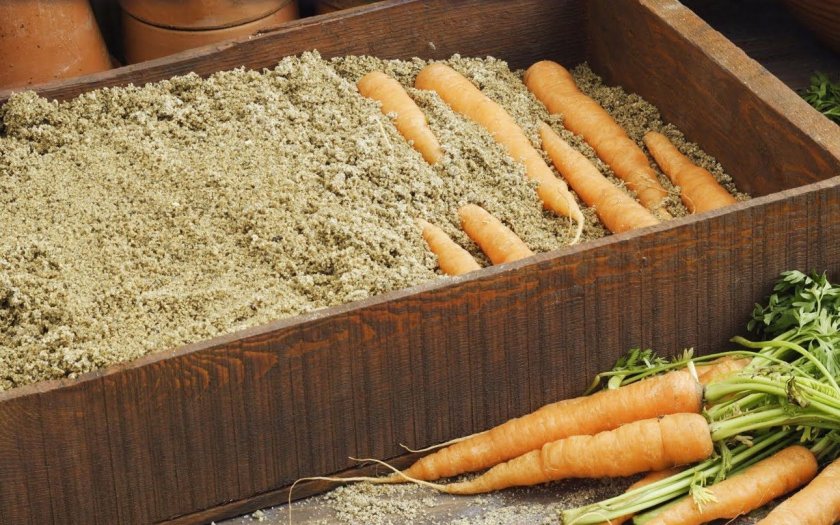 Зимнее хранение моркови в песке