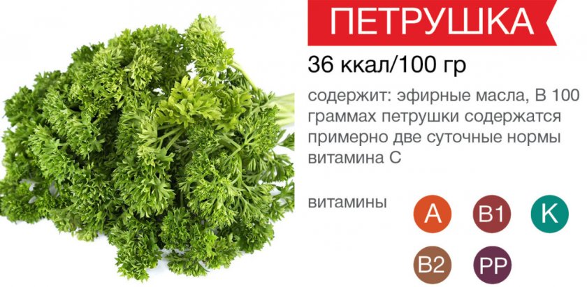 Состав кудрявой петрушки