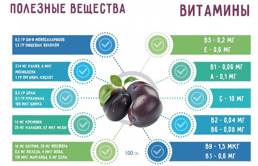 Витаминный и минеральный состав сливы