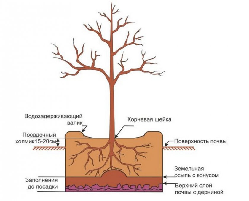Схема посадочной ямы