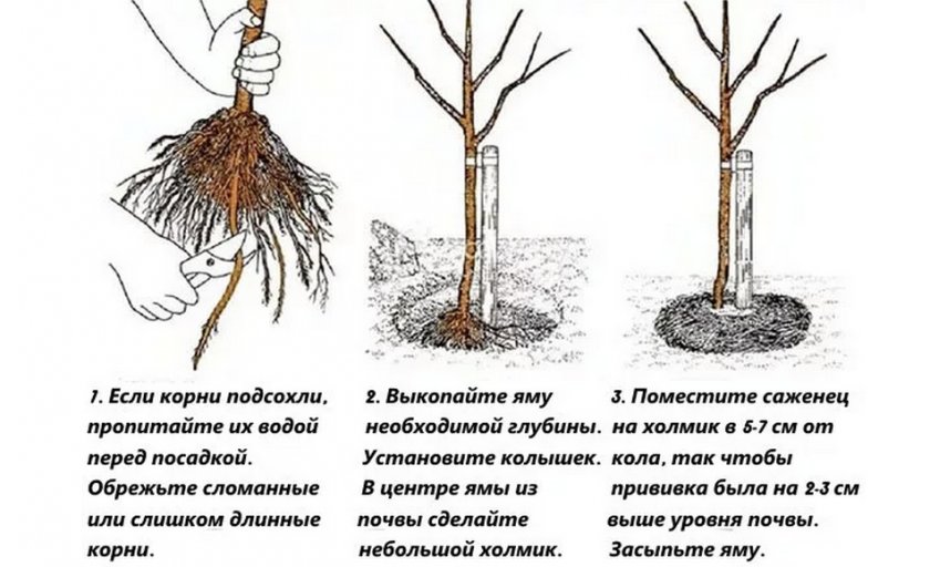 Схема посадки