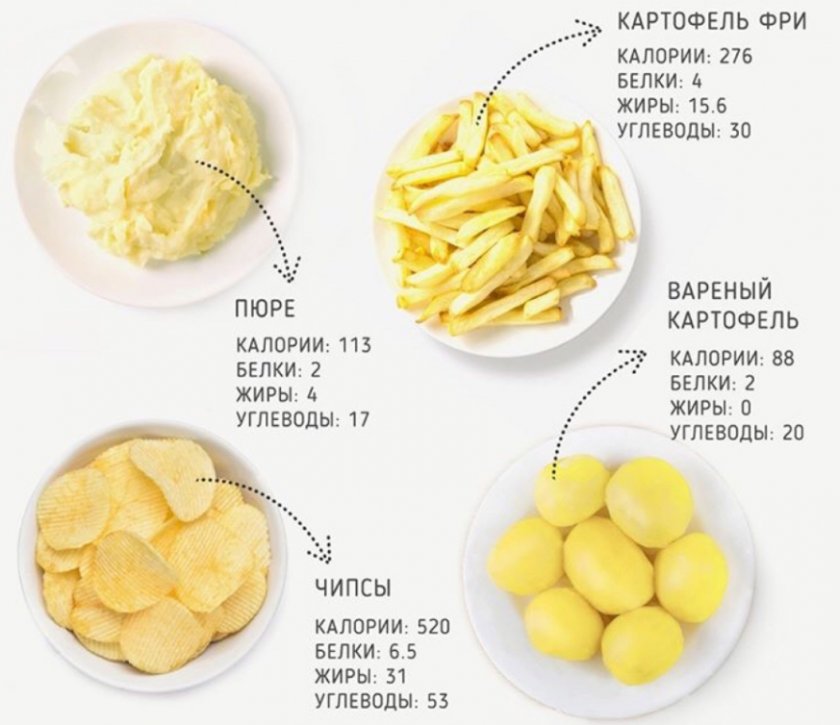 Калорийность картофеля на 100 г продукта