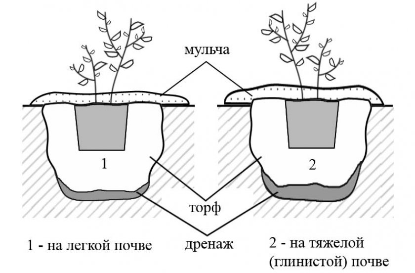 Схема мульчирования