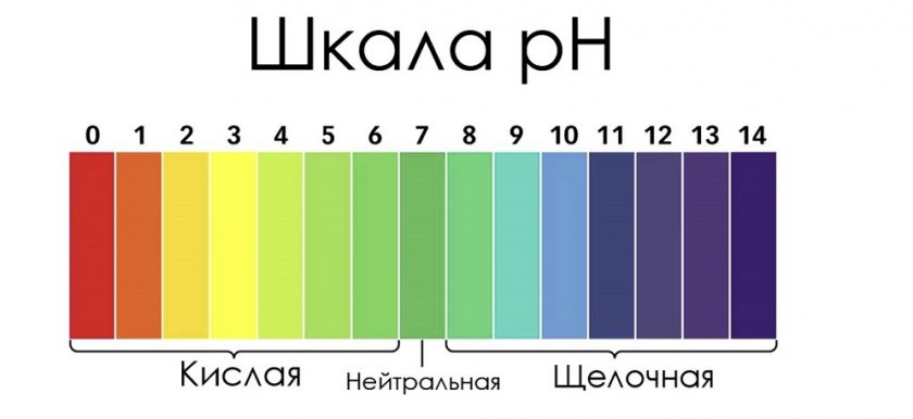 Шкала кислотности грунта