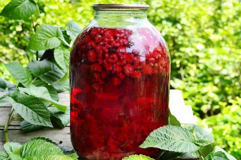 Компот из лесной малины
