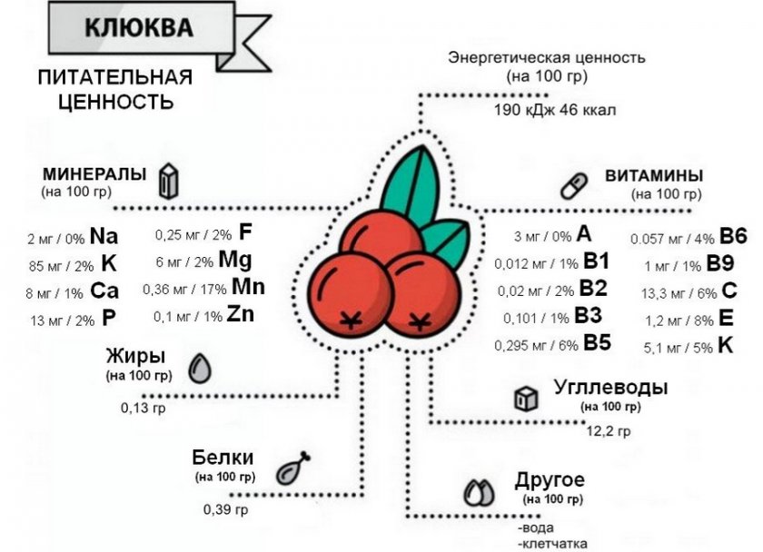 Состав клюквы