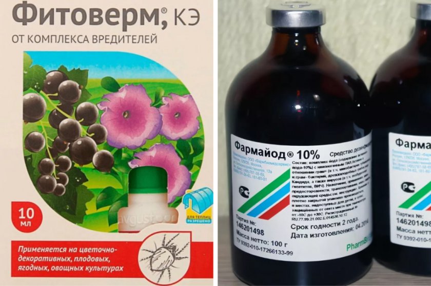 Фитовер и Фарма Йод