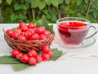 Декоративные деревья и кустарники: боярышник Сибирский