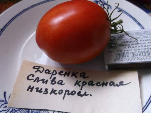 «Даренка»