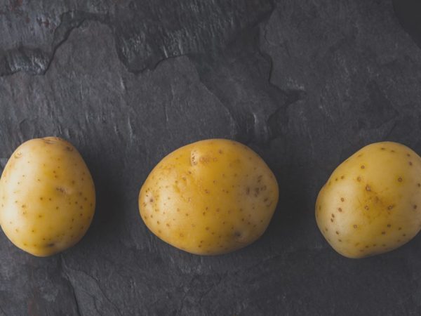 Характеристика картофеля сорта Лорх