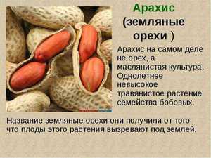 Уход за земляным орехом (арахисом)