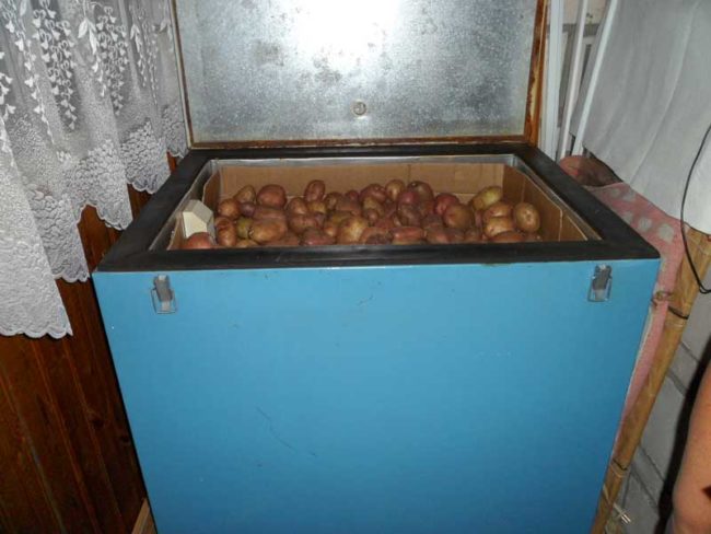 Термошкаф заводского изготовления для сохранения картофеля в условиях квартиры