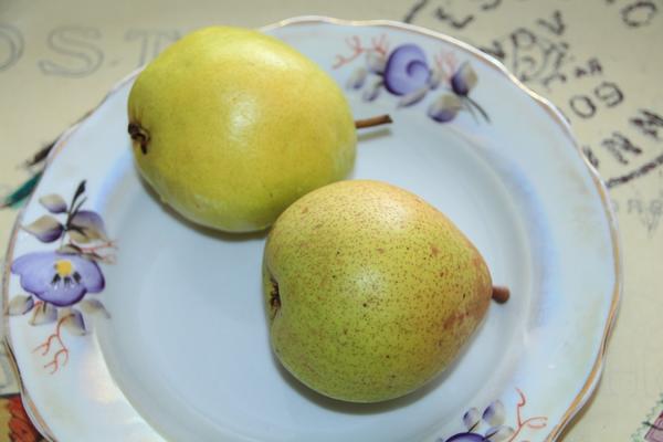 Две спелые груши сорта Чижовская на фарфоровой тарелке с окантовкой