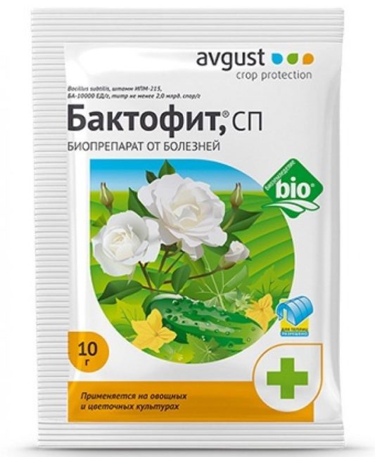 Пакет фунгицида Бактофит для лечения и профилактики болезней помидоры