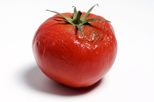 Плод томата с гнилым пятном на красной кожице