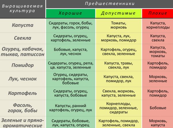 Таблица севооборота с участием помидоры для частного огорода