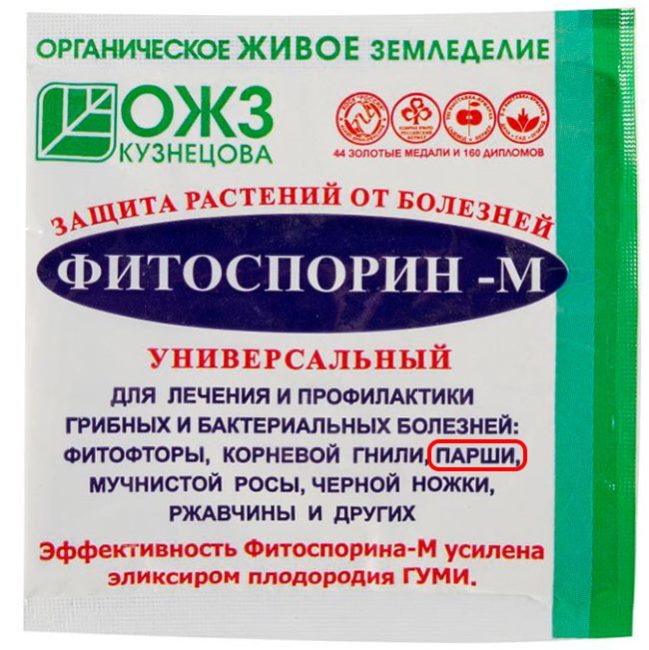 Пакетик с препаратом Фитоспорин для лечения парши и других заболеваний яблони