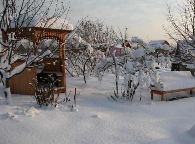 Дачный участок с плодовыми деревьями на Урале в середине зимы