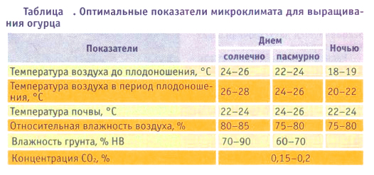 Таблица с основными показателями микроклимата для выращивания огурцов