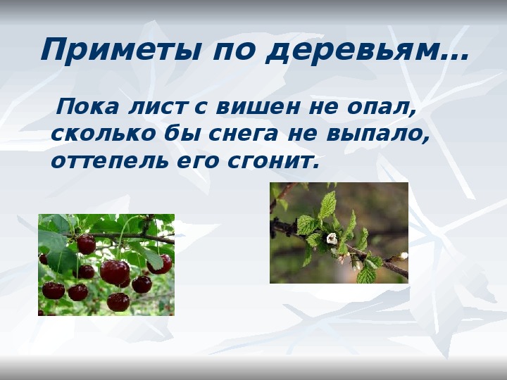 Какой вид примет. Приметы по окружающему миру. Приметы о природе 2 класс. Приметы на погоду окружающий мир.