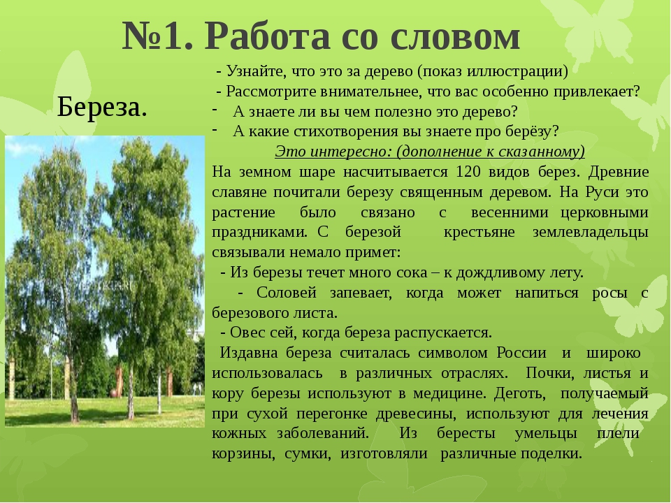 Береза какая. Предложения про березку. Текст про березу. Придумать предложения про березу. Три предложения о Березе.