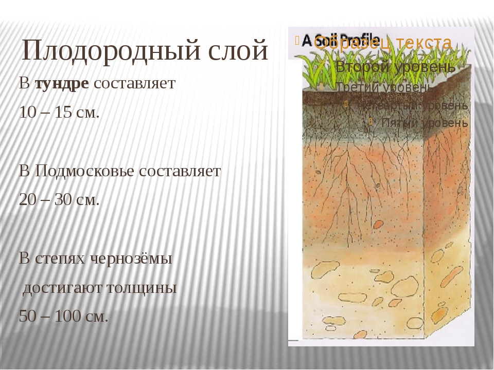 Как называется верхний плодородный слой земли