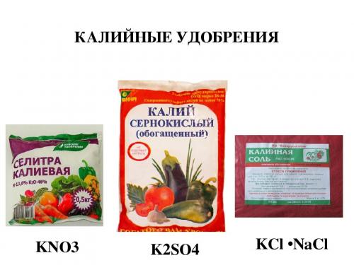 Какие удобрения вносить осенью. Какие удобрения вносить под перекопку осенью для повышения плодородности