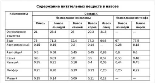 Какие удобрения внести в теплицу осенью. Советы, как и чем удобрить теплицу осенью