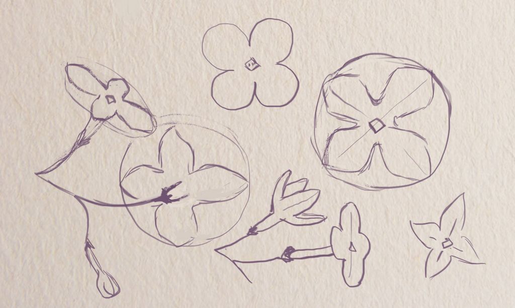 Как нарисовать отдельные цветочки сирени