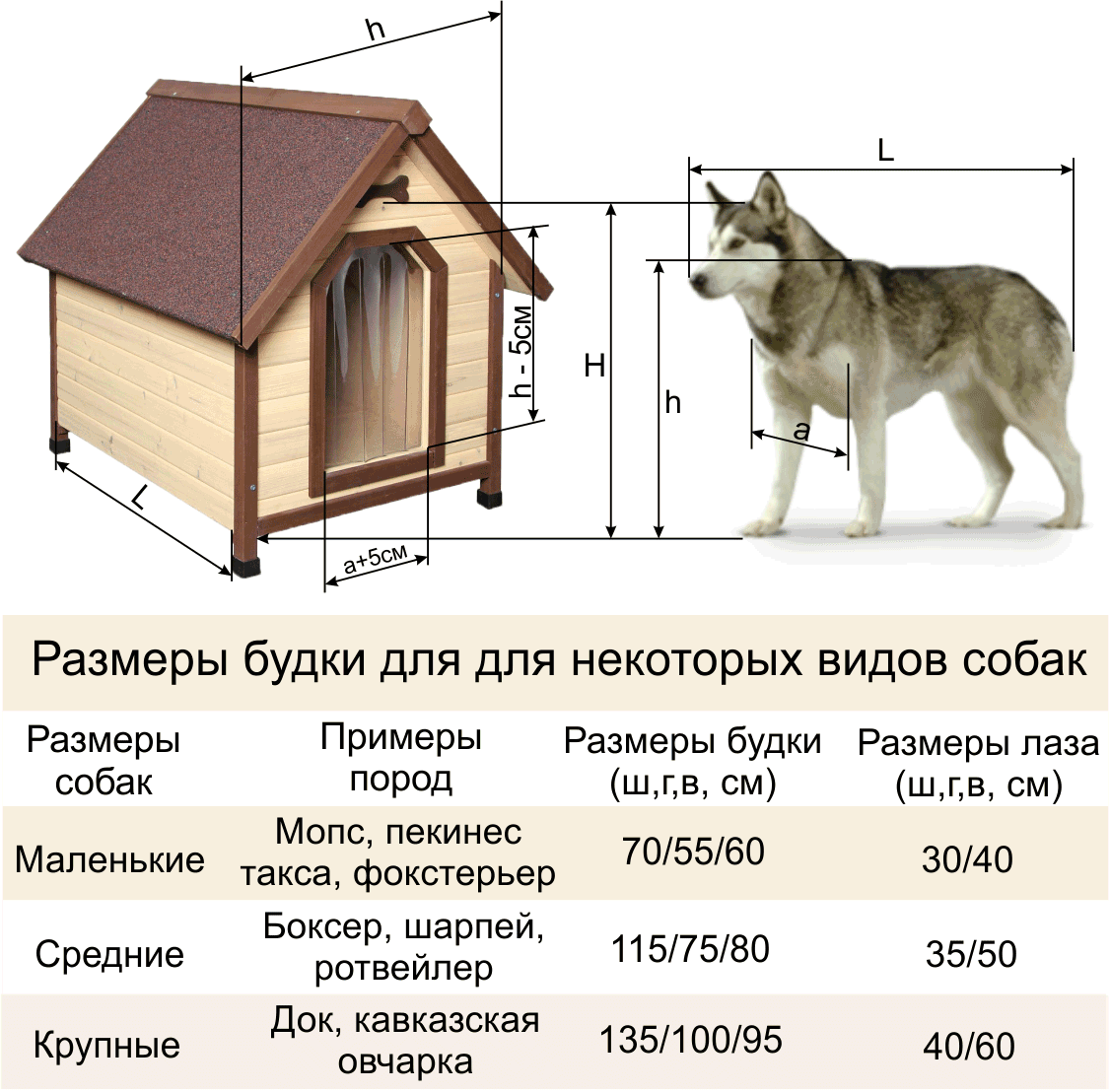 Средние размеры