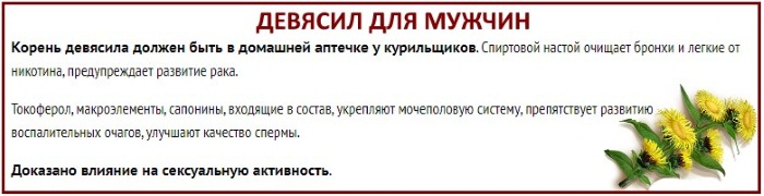 Лечебные свойства корня девясила. Рецепты, как заготовить, заваривать, принимать траву. Противопоказания