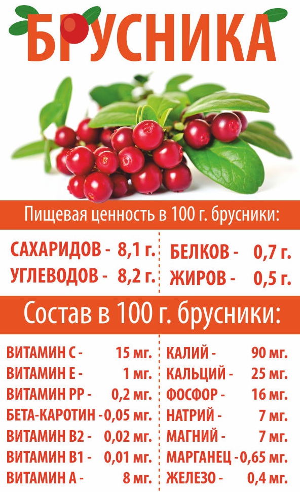 Брусника. Лечебные свойства, применение в народной медицине. Противопоказания