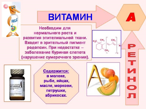 Левзея сафлоровидная. Полезные свойства и противопоказания