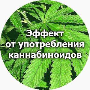 Конопля