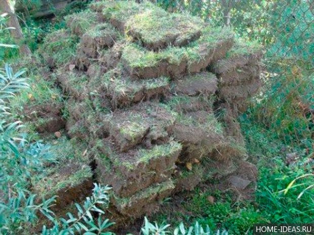 Сад камней своими руками на даче: фото