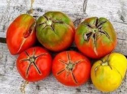 Наиболее часто помидоры, которые выращиваются в теплице, подвергаются вершинной гнили