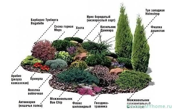 Подбор растений