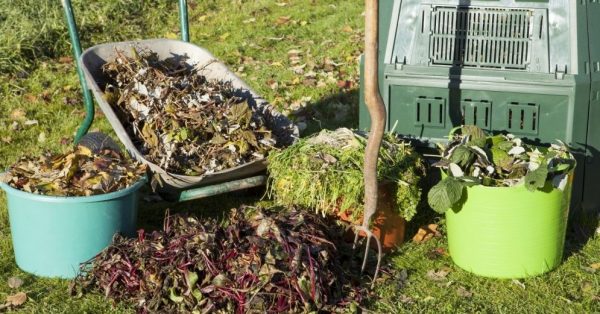 lapas-vecie-augi-kompostesana-komposts-komposta-kaste-darza-darb-48048749