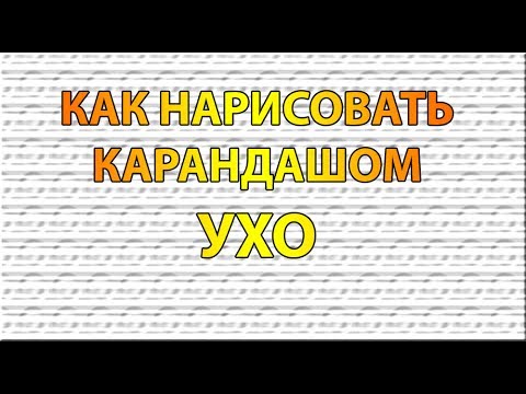 Видео: Как нарисовать УХО карандашом поэтапно для начинающих?