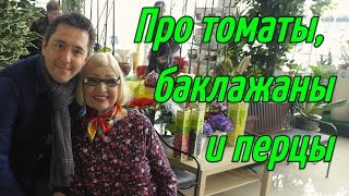 Октябрина Ганичкина. Томаты. Баклажаны. Перцы.(Съёмка-25.02.2017г.).