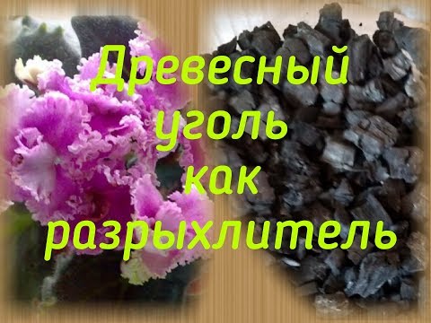 Древесный уголь как разрыхлитель для грунта фиалки