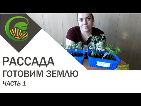 Как приготовить землю для рассады без прокаливания и марганца