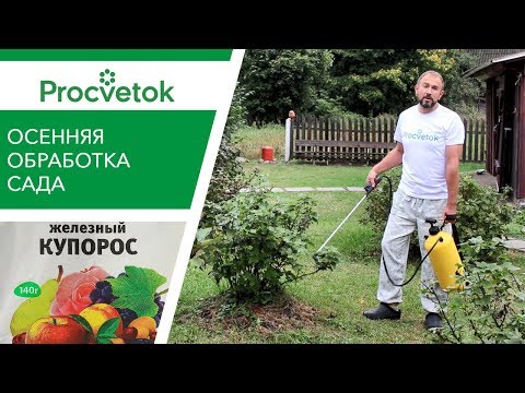 opryskivanie-sada-osenyu-foto-video-iskorenyayushhaya-obrabotka-4