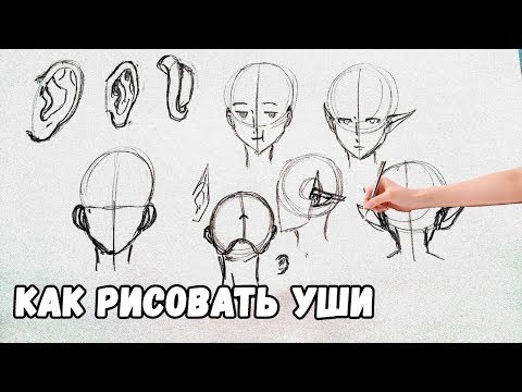 как рисовать уши